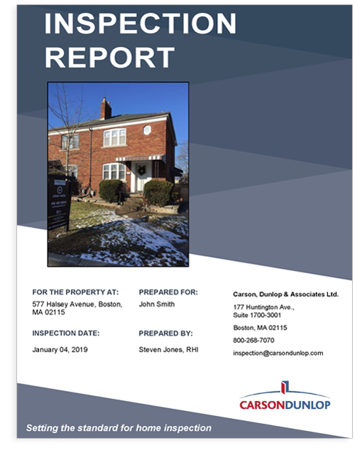 A powerful Report Writing tool Horizon Inspection Software