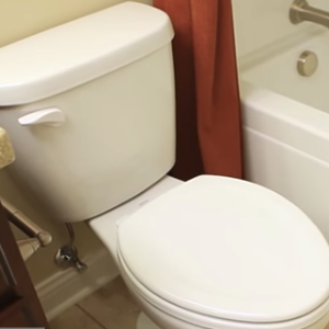 Replacing a Toilet Flapper